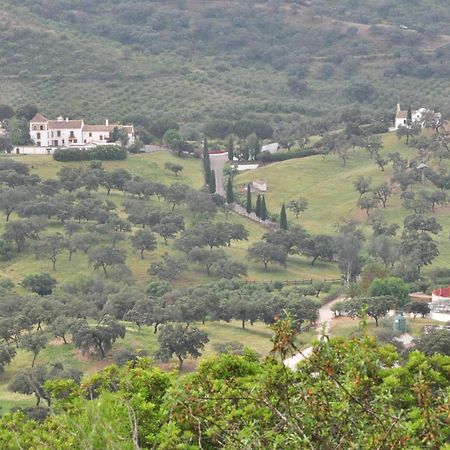 La Rejaquera Villa Villanueva del Rio y Minas Exteriör bild