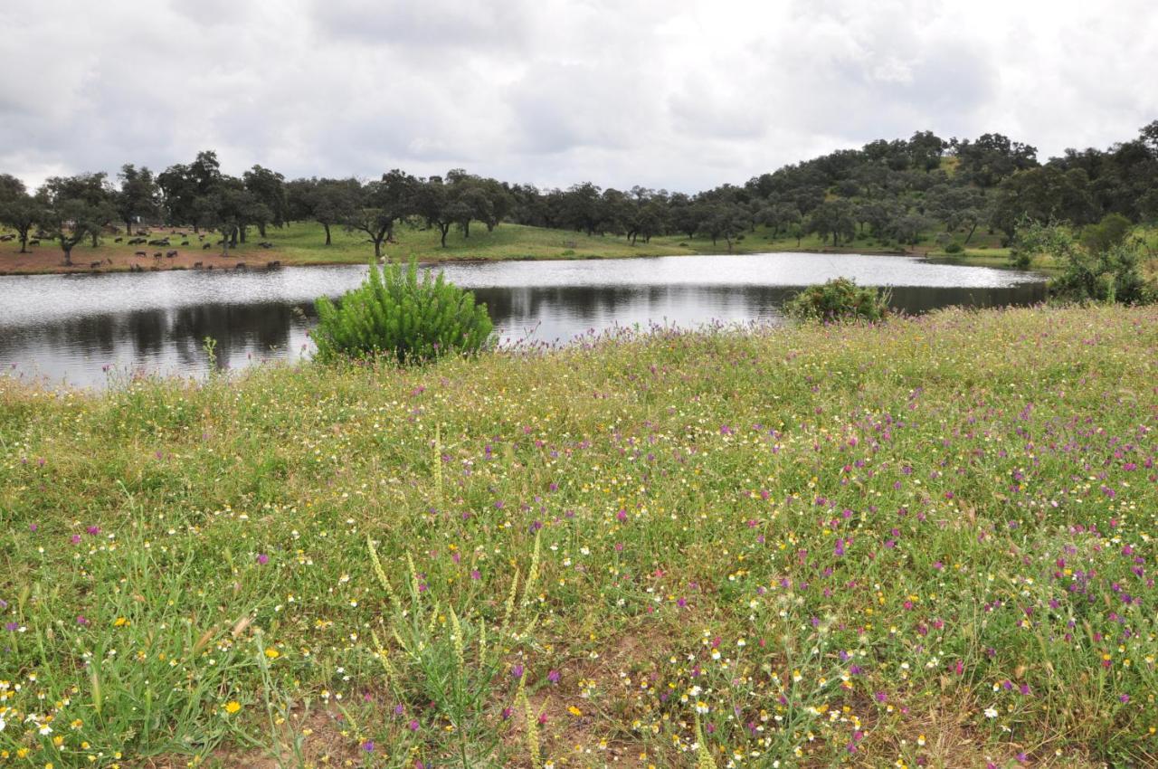 La Rejaquera Villa Villanueva del Rio y Minas Exteriör bild