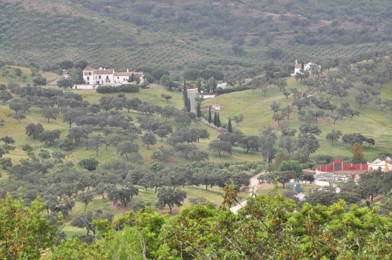 La Rejaquera Villa Villanueva del Rio y Minas Exteriör bild